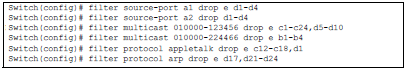 Configuring a multicast or protocol traffic filter